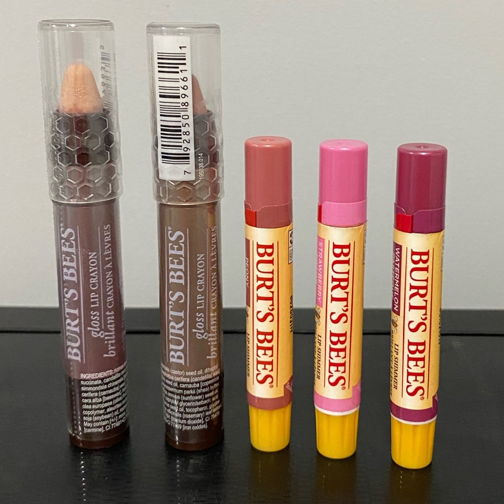 Burt’s Bees Lip Combo